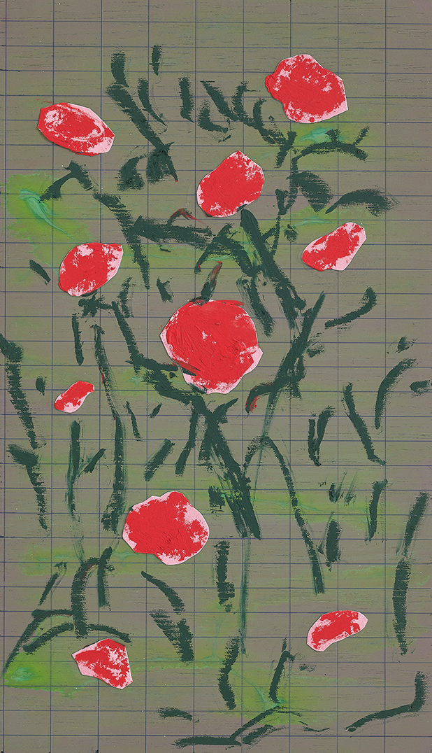 장미 Roses