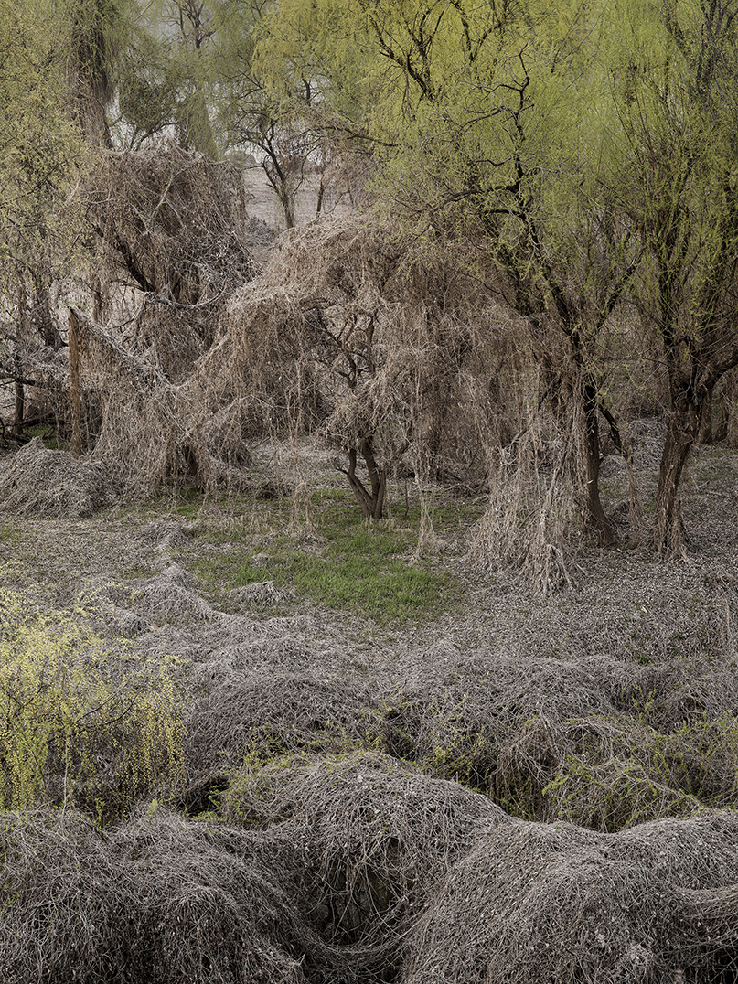 네가 봄이런가 You must be Spring #6