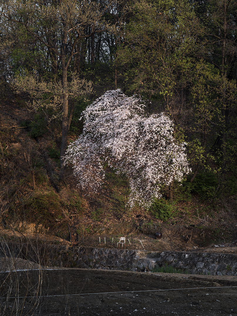 네가 봄이런가 You must be Spring #14
