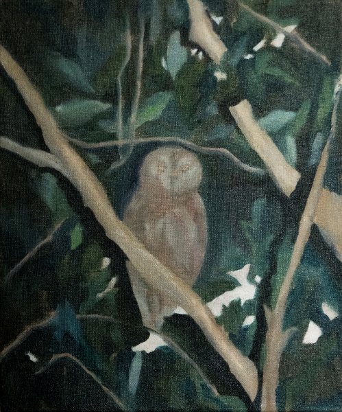 OvO