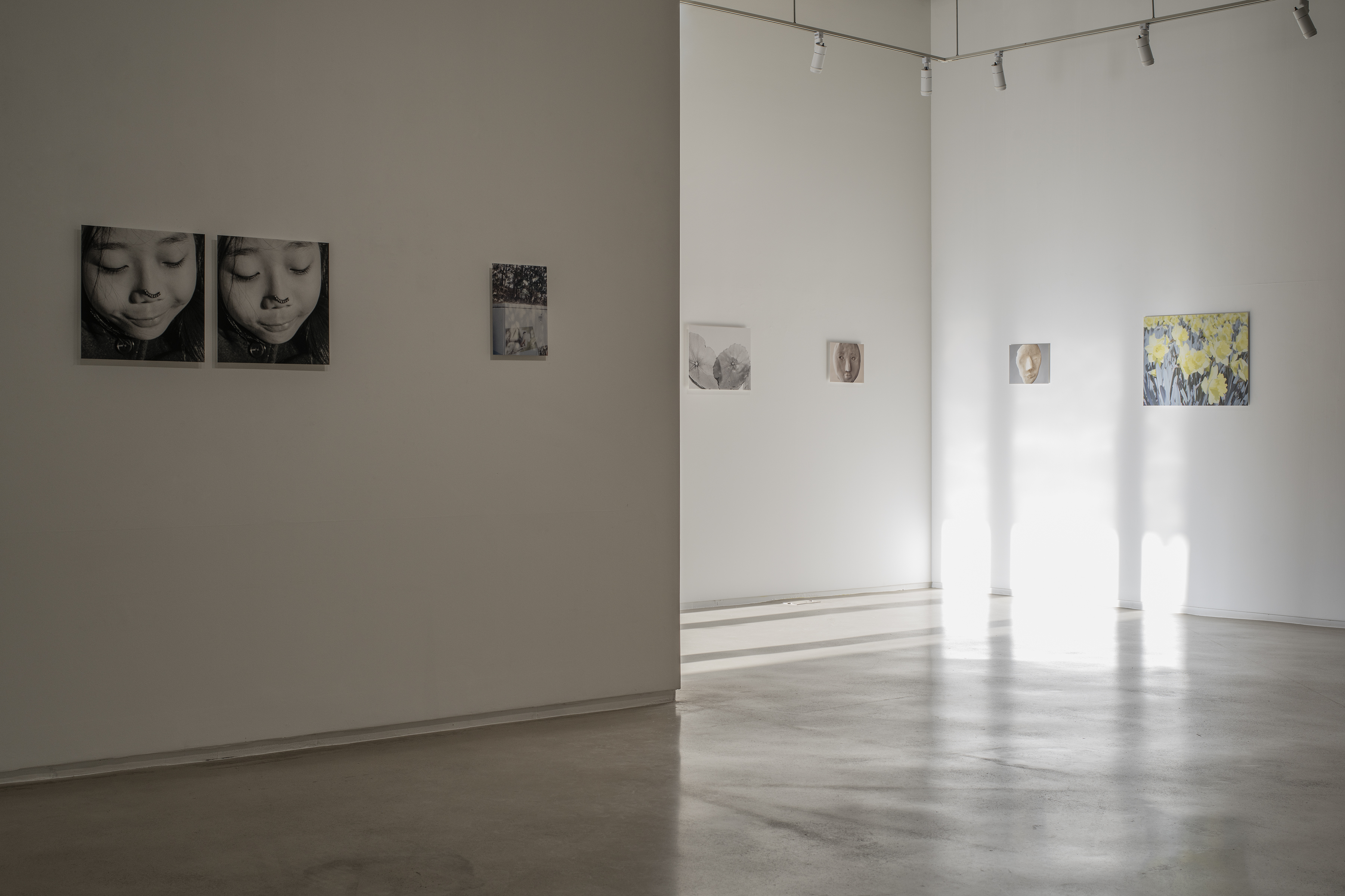 Eun Chun : To the North Facing Window