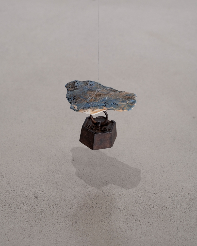 Eun Chun : To the North Facing Window