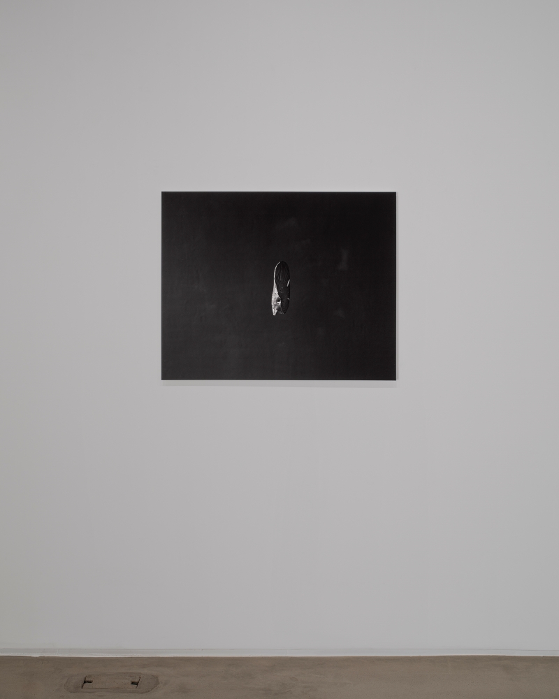 Eun Chun : To the North Facing Window