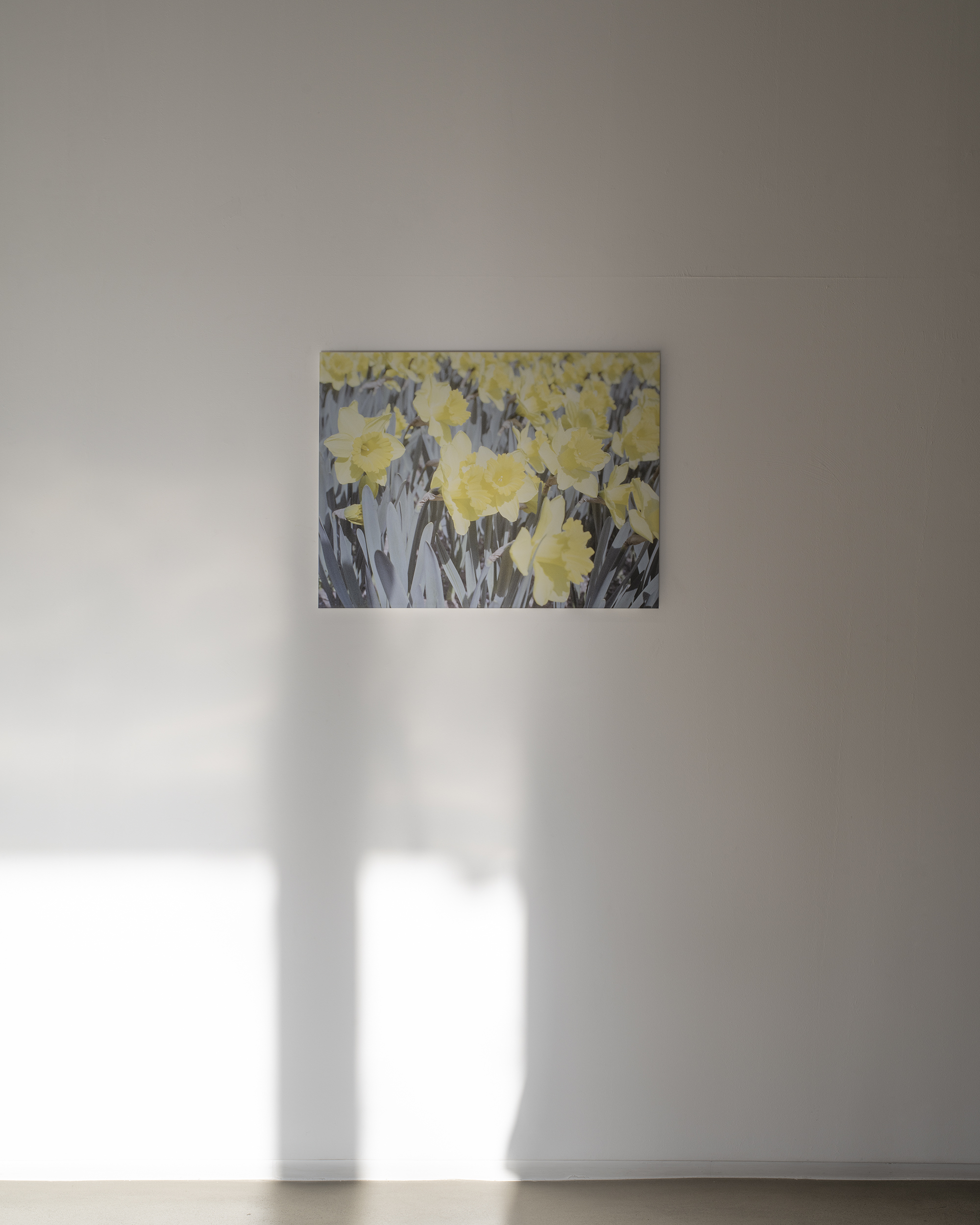 Eun Chun : To the North Facing Window