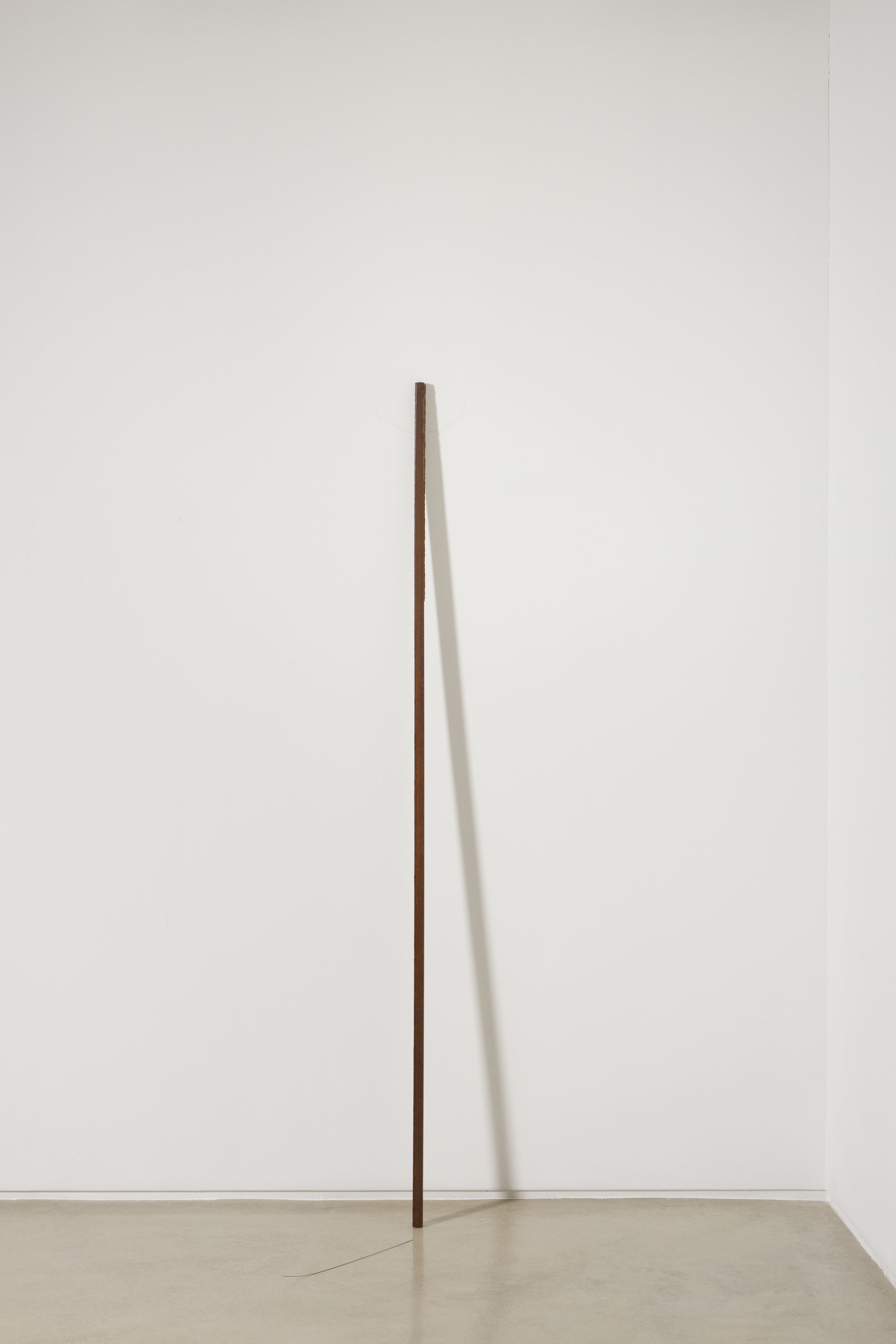 PIBI_LINK: Echoed Objects<br>Sook Kyung Jang , Kyungpyo Jeon