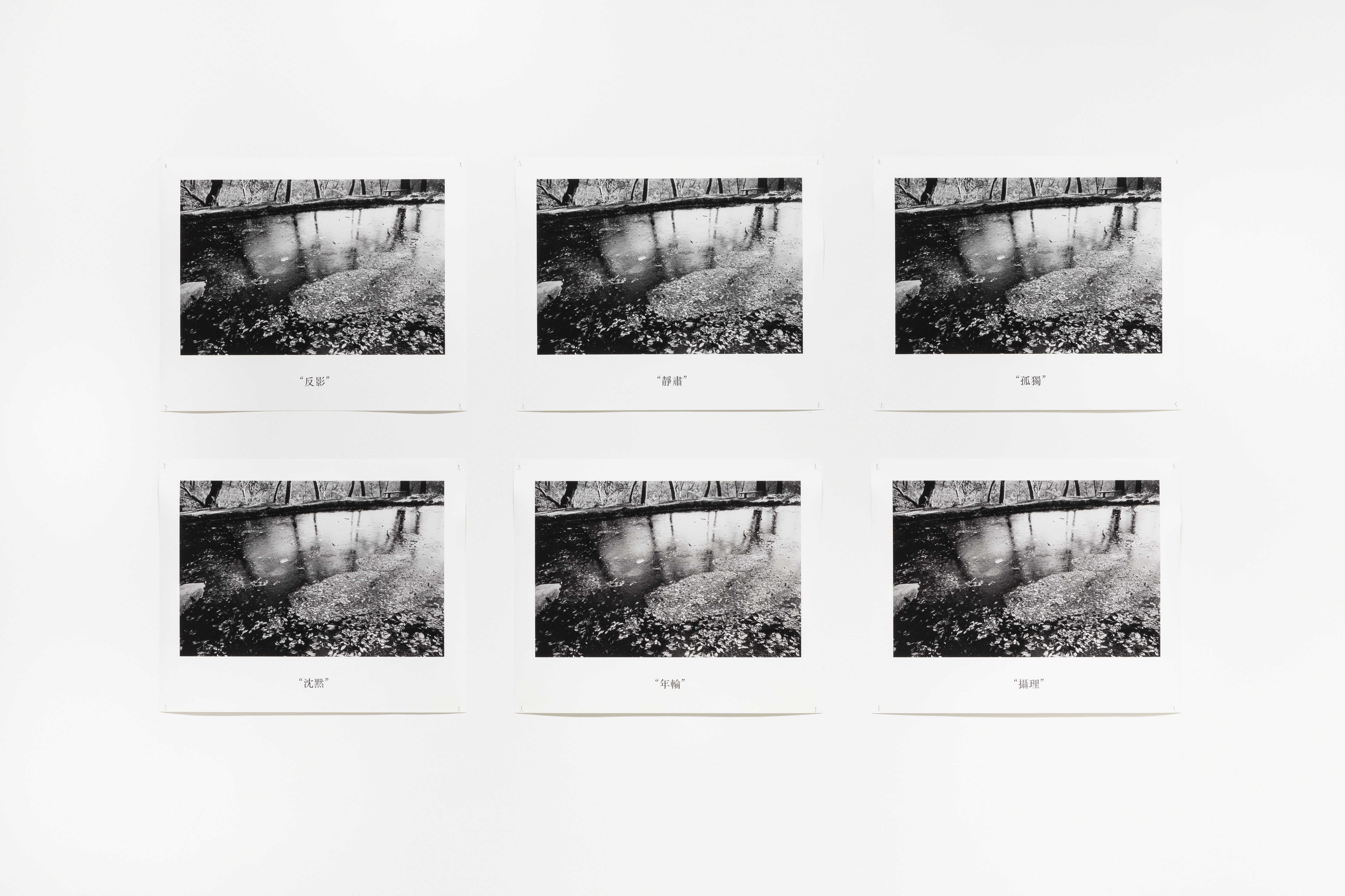 Lee Kyo Jun : Untitled