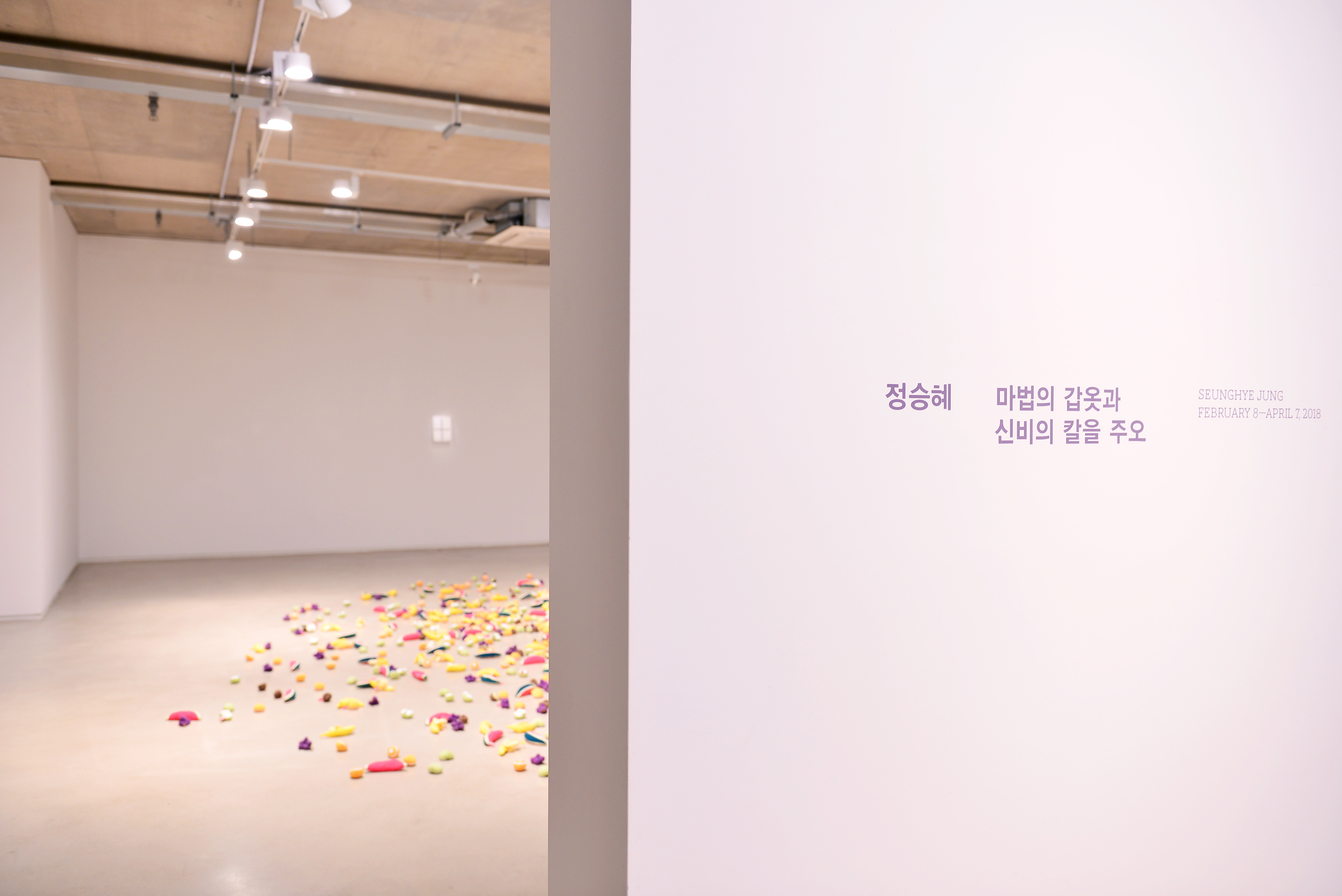 Seunghye Jung : Bestow upon Me the Magic Armor and the Mystical Sword