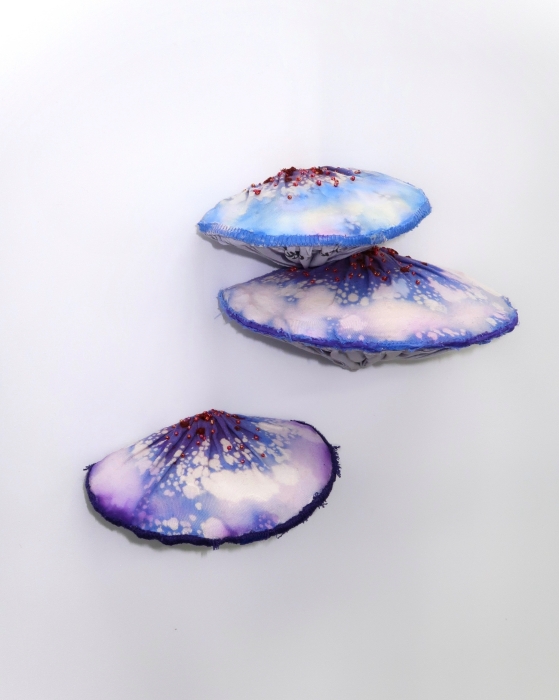  Seashell Blooddrop Mushroom