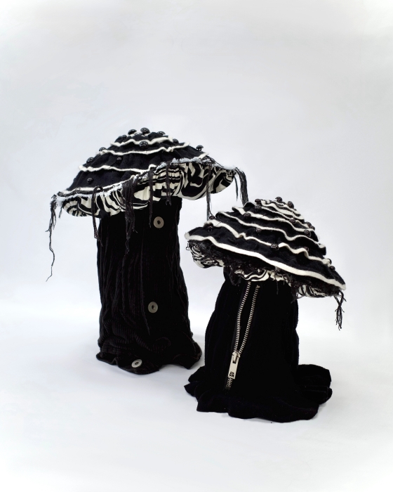 Striped Doll-Eye Mushroom