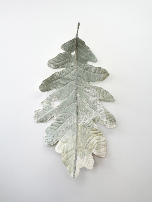 Eunha Kim<br>A Leaf from Some fruit
