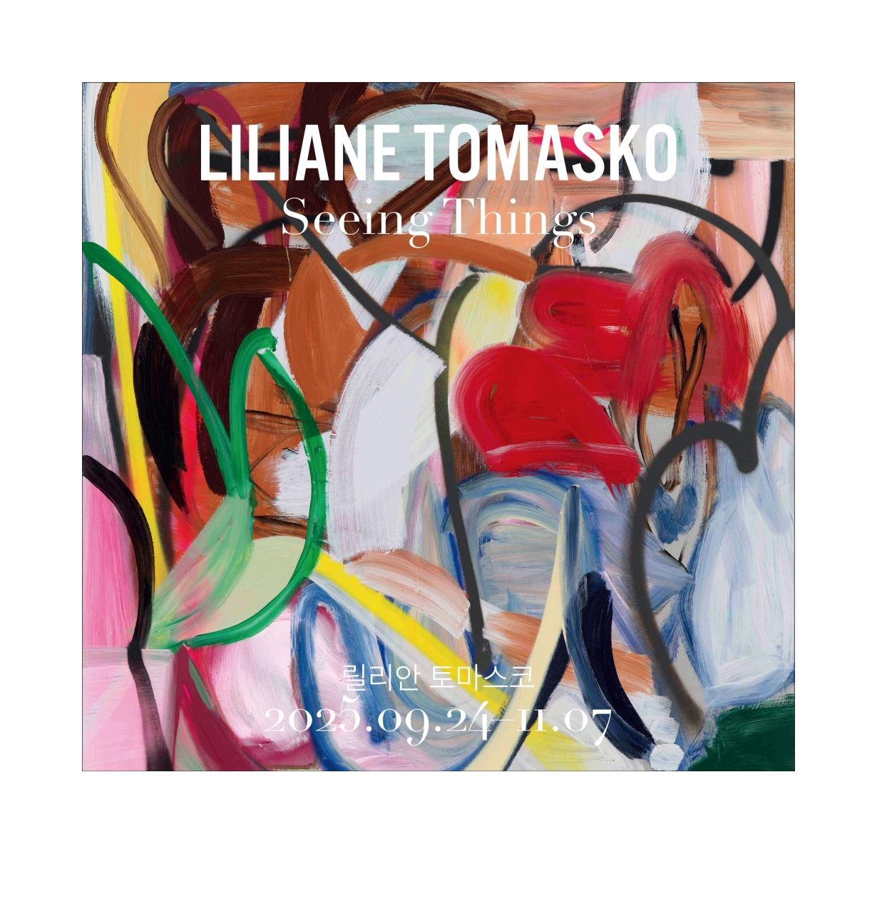 Liliane Tomasko: Seeing Things